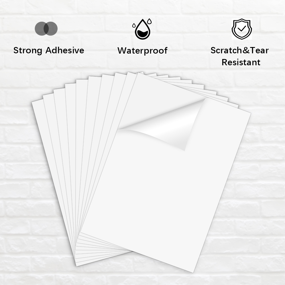 20/50 hojas de papel adhesivo  - Commercial Vinyl Printing reseña y precio